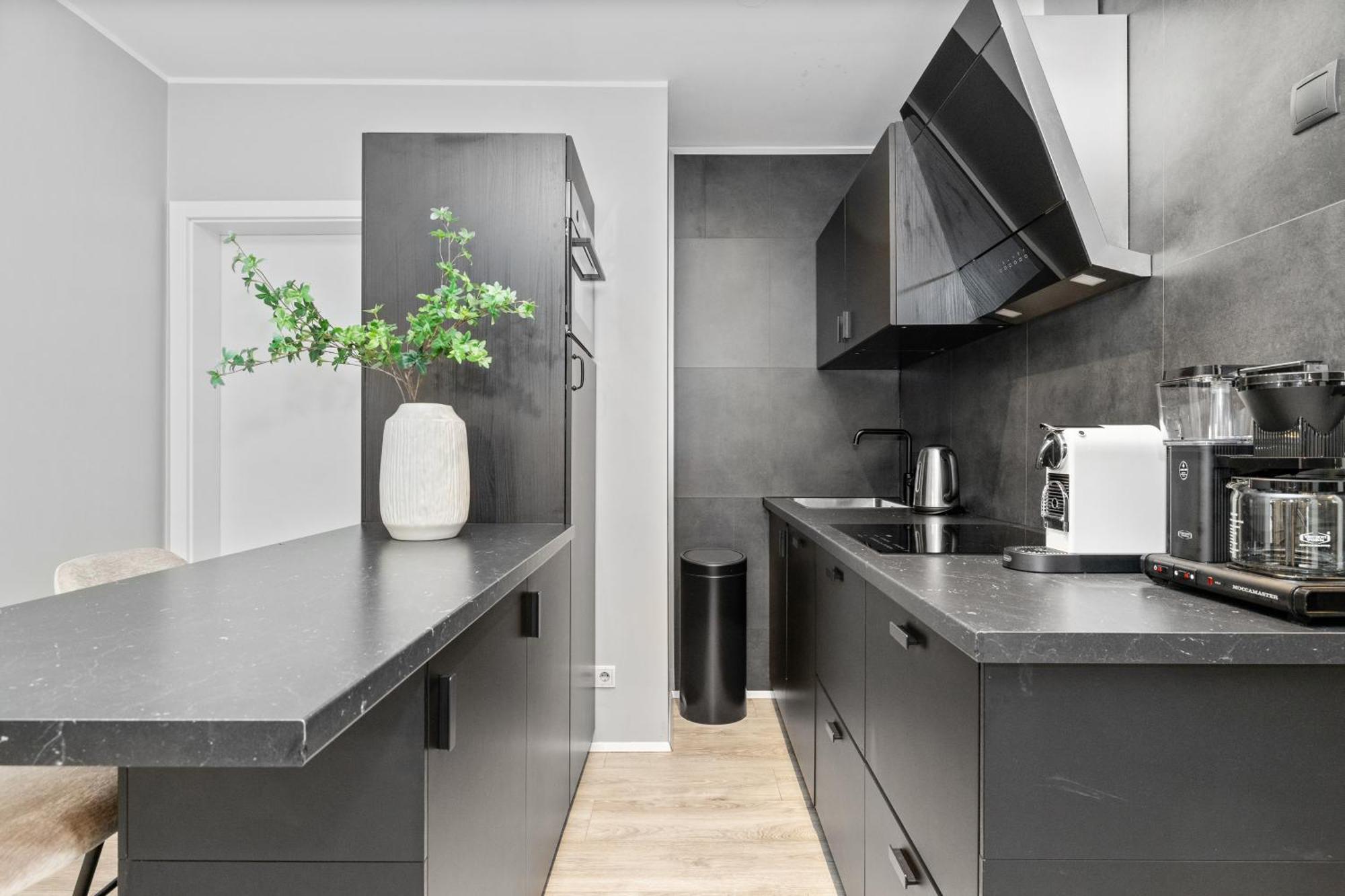 Vatnsstigur Apartment Рейкьявик Экстерьер фото